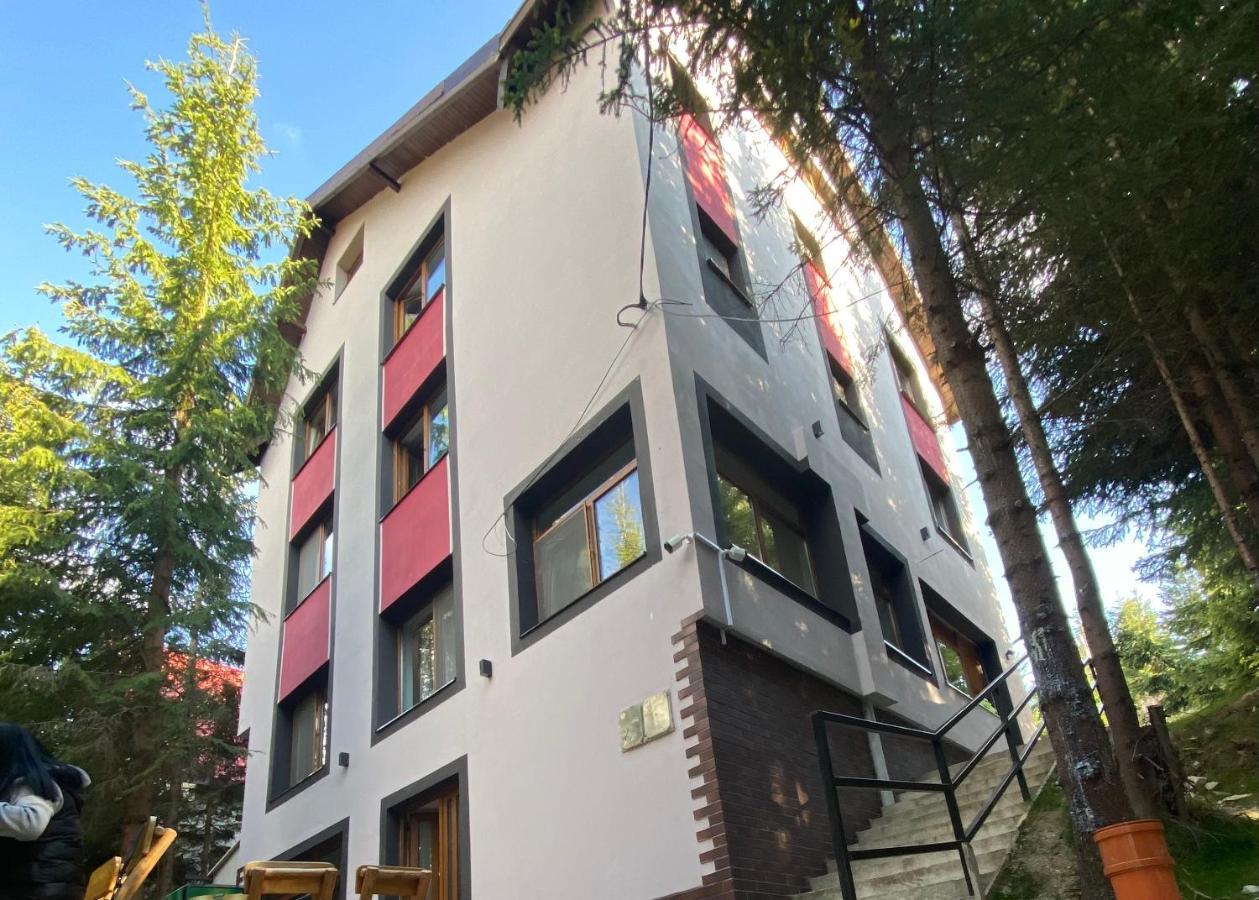 Altitude Guest House Rânca Eksteriør billede
